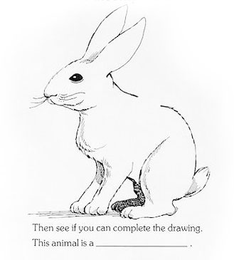 rabbit drawing tableau